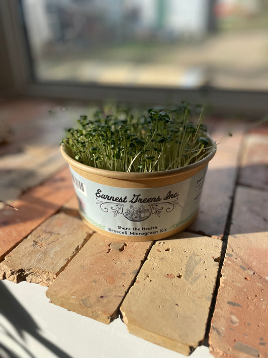 Grow At Home Microgreen Kits