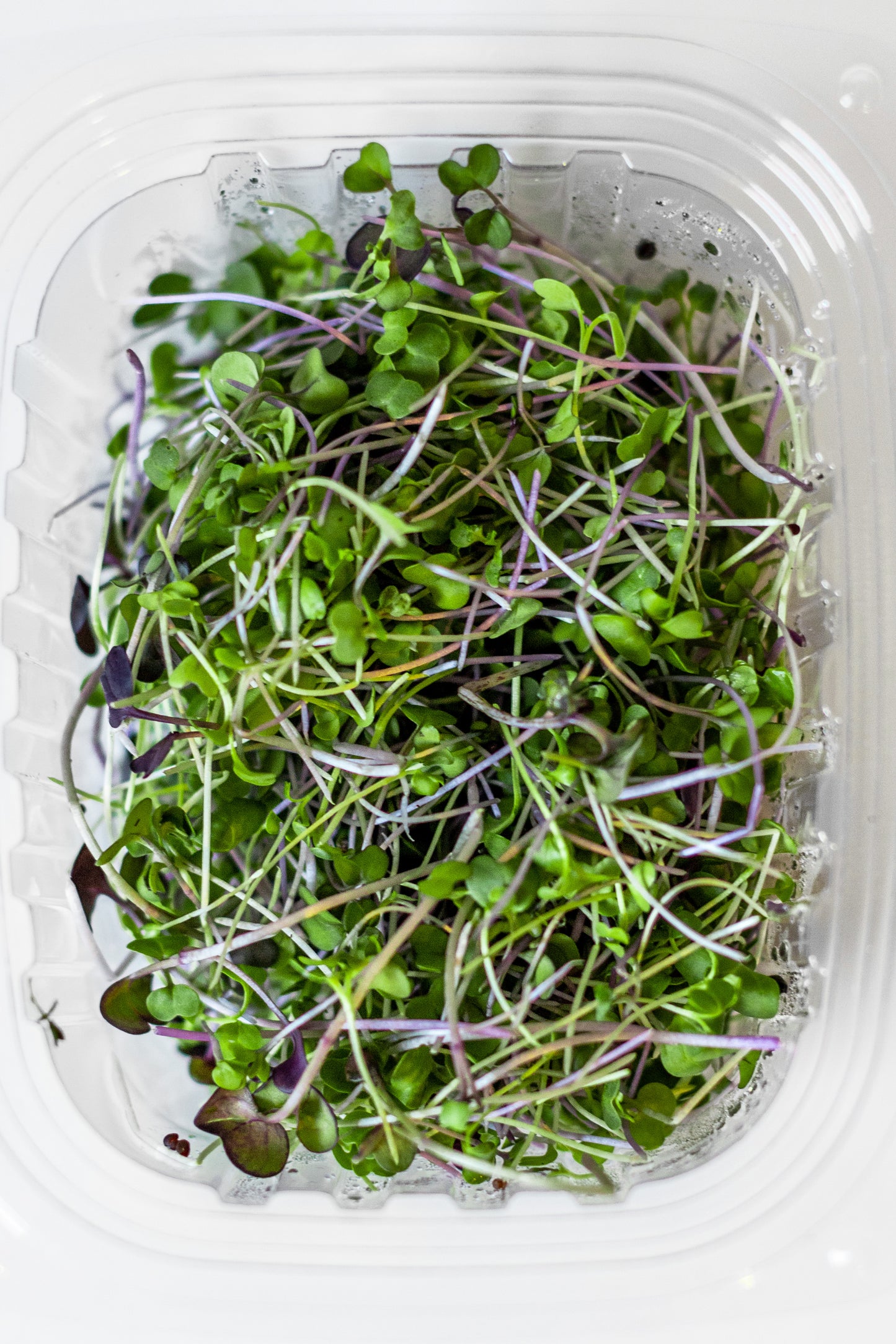 Detox Micro-blend