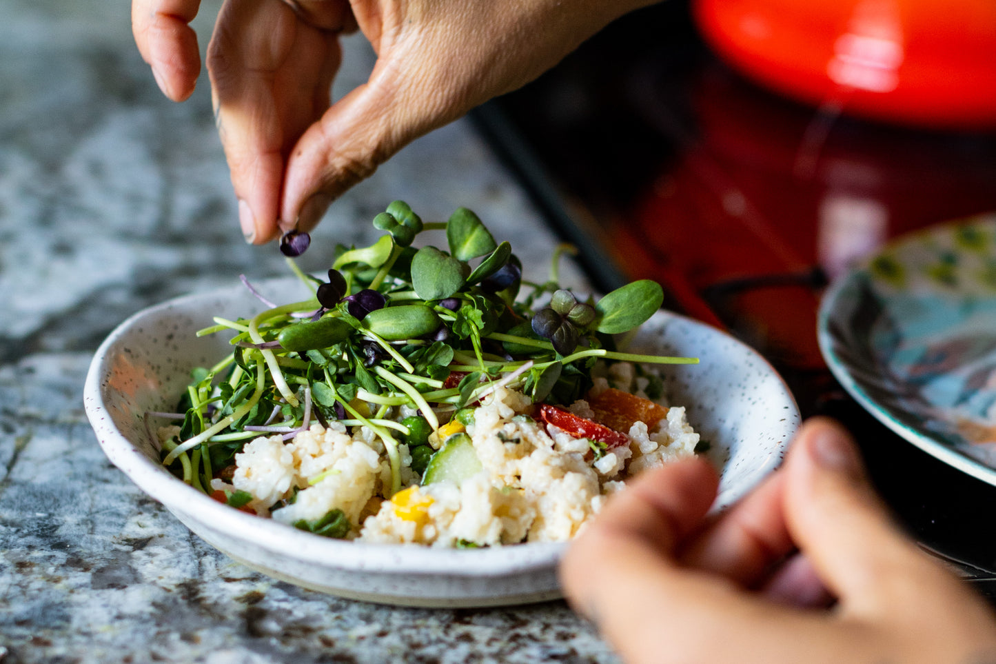 Microsalad Blend