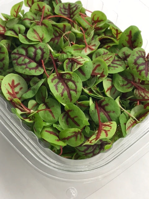 Sorrel Micros