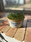 Grow At Home Microgreen Kits
