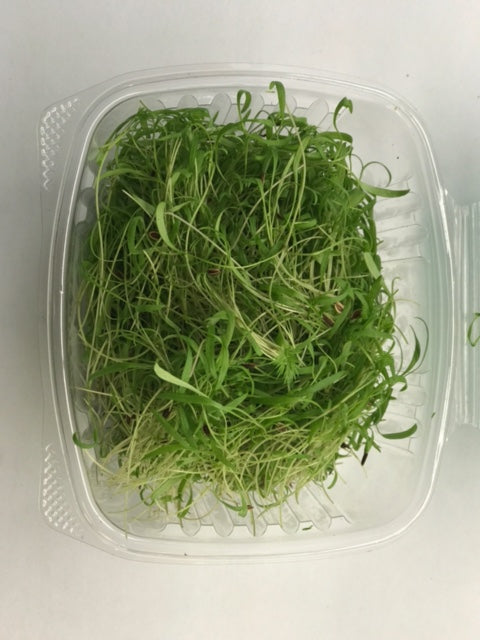 Dill Micros